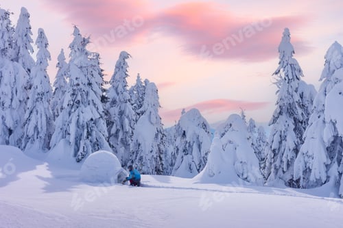 Preview: Winter snowy landscape with an igloo in a frosty forest