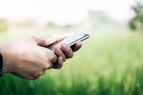 Preview: farmer using mobile checking report of agriculture in farm.