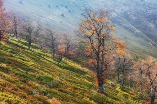 Preview: mountain range in the Carpathian Mountains in the autumn season.