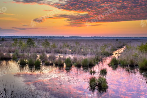 Preview: Sunrise over Fochteloerveen swamp