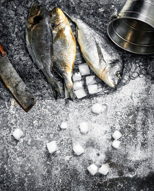 Preview: Fresh unprepared dorado fish on a cutting board.
