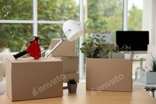 Preview: Moving boxes and houseplants on wooden table in new office