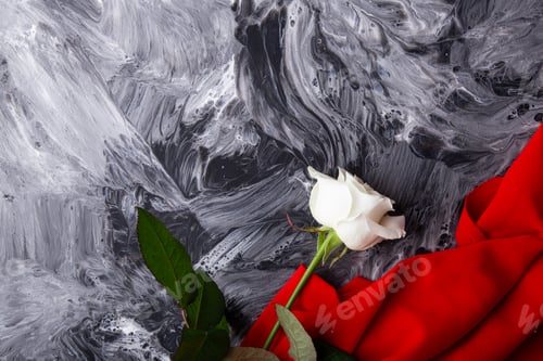 Preview: White rose on abstract monochrome texture with vibrant red fabric. Copy space