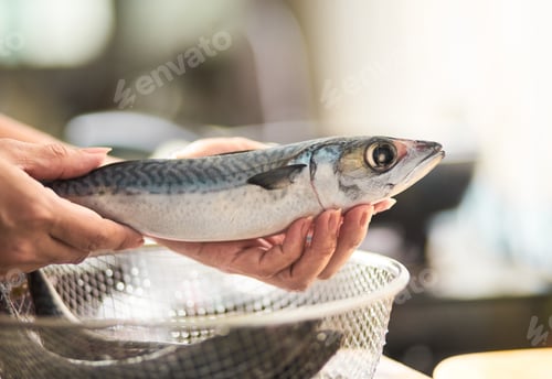 Preview: The raw chub mackerel in a wire mesh basket