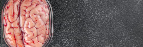 Preview: pork brains raw edible offal meat fresh food tasty fresh healthy eating cooking appetizer meal food