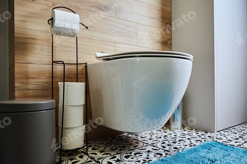 Visualização: Interior do banheiro com vaso sanitário