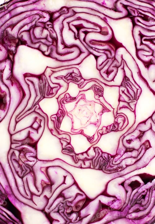 Preview: Close Up on Red Cabbage background
