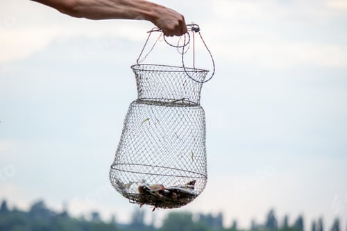 Preview: Fishing. Fish on a hook. Selective focus