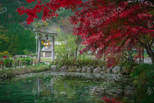 Preview: Scenic view of a small lake in Takashima Park, Suwa Japan