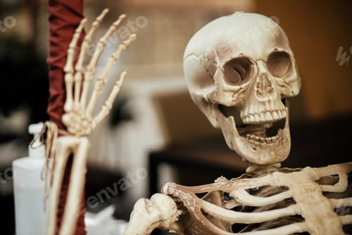 Preview: Scary skeleton, skull, hand close up. Spooky Halloween decor. Trick or treat. Happy halloween