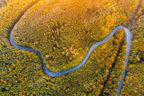 Preview: Aerial view of winding road through autumn forest.