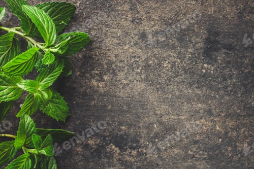 Preview: Mint, Fragrant Green Petals (Food Decoration) Menu Concept. Food Background. Copy Space. Top View