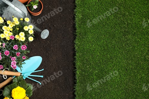 Preview: Flat lay composition with gardening equipment and flowers on soil, space for text