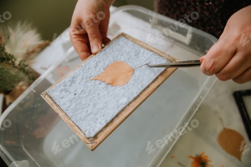 Preview: Formation of a leaf using a manual form from paper pulp and a dry plant