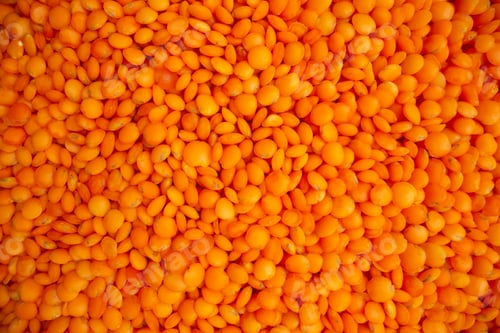 Preview: High resolution photo of red lentils close up shot layer in horizontal view