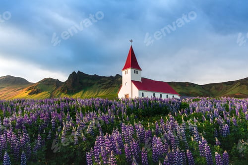Preview: Myrdal