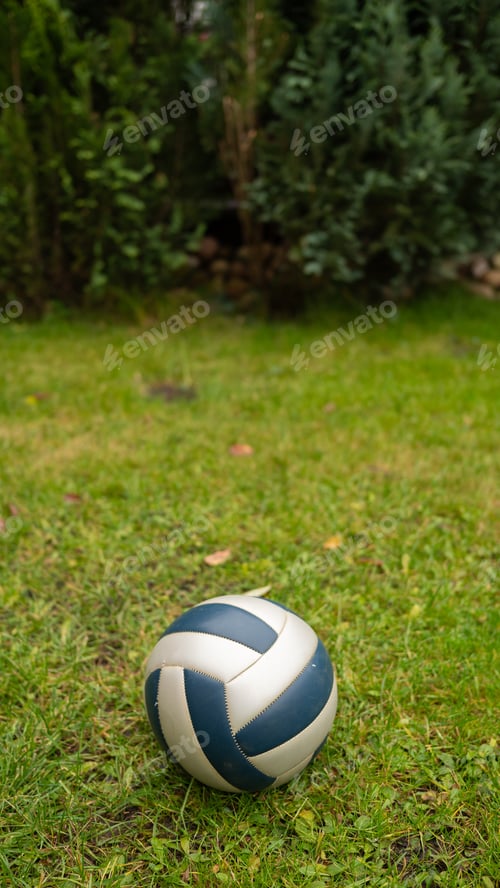 Preview: Volleyball in lush green backyard with trees in background