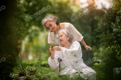 Preview: Two elderly women, one standing and one sitting in a wheelchair, enjoying a nature setting, focusing
