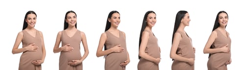 Preview: Pregnant woman on white background, collection of photos