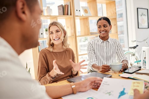 Preview: Business meeting, client presentation or b2b partnership deal of women talking in a office. Crm, co