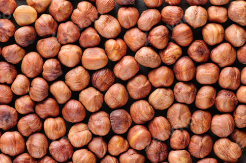 Preview: Peeled hazelnuts background