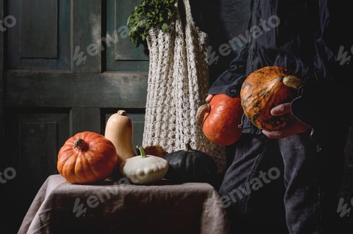 Preview: Variety of colorful pumpkins
