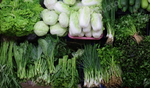 Preview: Various Organic Vegetables