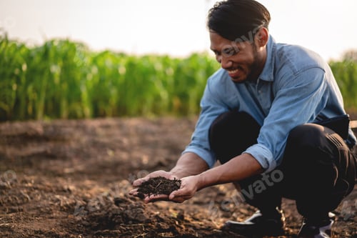 Preview: Smart farmer holding soil in his hands to examining quality of s