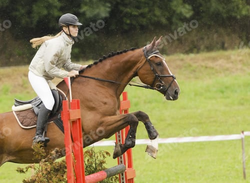 Preview: Show Jumping
