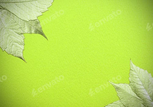 Preview: Background Leaves Autumn There Is A Place For The Inscription