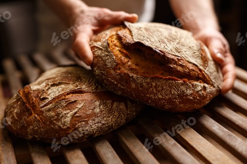 Preview: Hands holding organic bread in authentic bakery setting