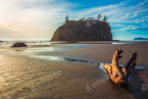 Preview: Shoreline Views, Ruby Beach In Olympic National Park Washington