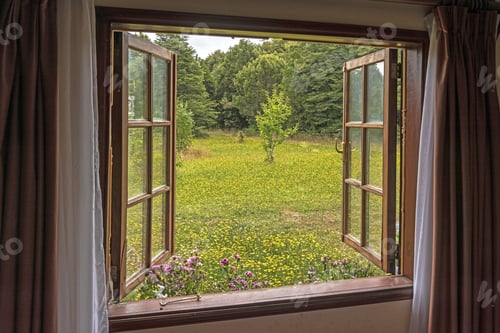 Preview: Beautiful view of the garden filled with blossomed yellow flowers from the open window