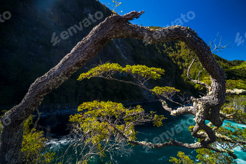 Preview: Petrohue Falls, Vicente Perez Rosales National Park, Chilean Lake District, Chile, South America