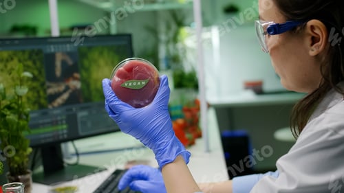 Preview: Chemist analyzing plant based beef substitute for vegetarien people