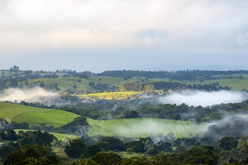 Preview: Atherton Tablelands on a Misty Morning in Australia