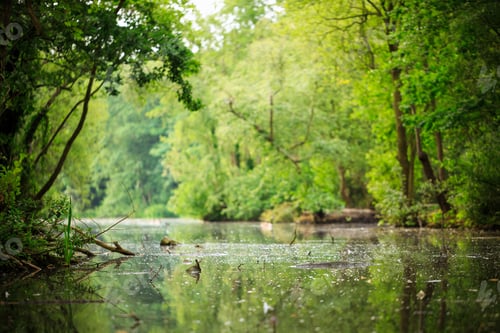 Preview: Scenic canal with lush green foliage on each side