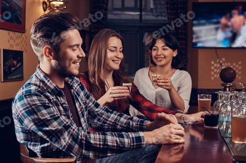 Preview: Group of happy multiracial friends resting and talking at bar or pub.
