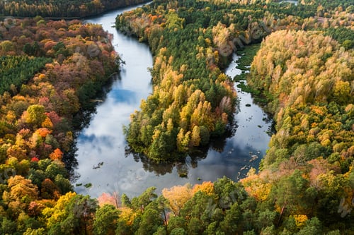 Preview: Winding river and forest in autumn. Aerial view of wildlife.