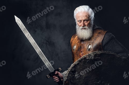 Preview: Glorious elderly crusader with shield and sword dressed in armor