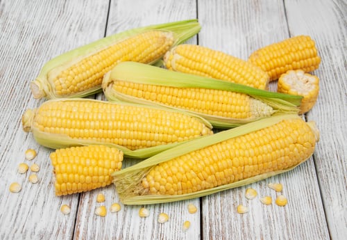 Preview: Fresh Yellow Corn on a Wooden Table