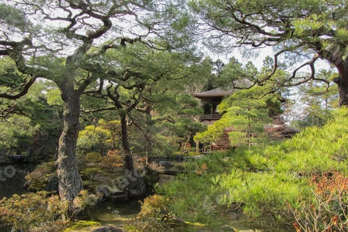 Preview: Beautiful shot taken at Higashiyama Jisho-ji Kyoto Japan