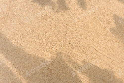 Preview: Sand Texture Background with leaves Shadow, Nature Beach Sandy with tropical leaf overlay
