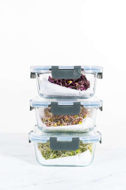 Preview: Growing sprouts in a jar