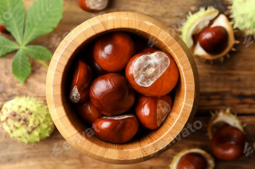 Preview: Horse chestnuts in bowl on wooden table, top view
