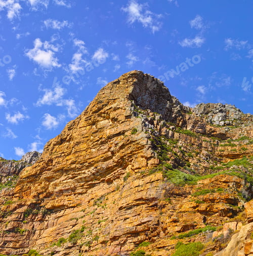 Preview: Lions Head