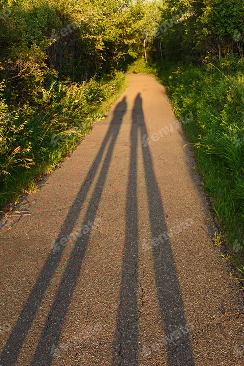 Preview: Long Shadows at Sunset
