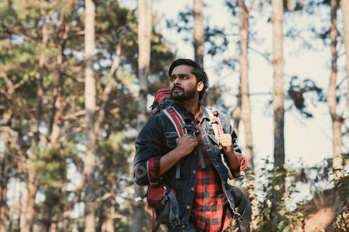 Preview: Hikers with backpacks explore a forest, enjoying the sights of nature.