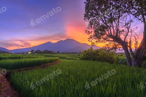 Preview: Beautiful morning view indonesia Panorama Landscape with beauty color