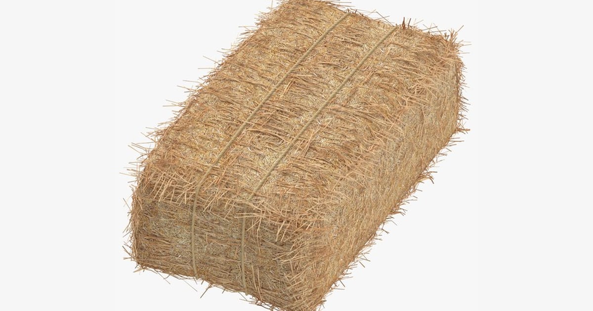 Rectangular Hay Bale with Straw Details and Rope Binding 3D, Incl ...
